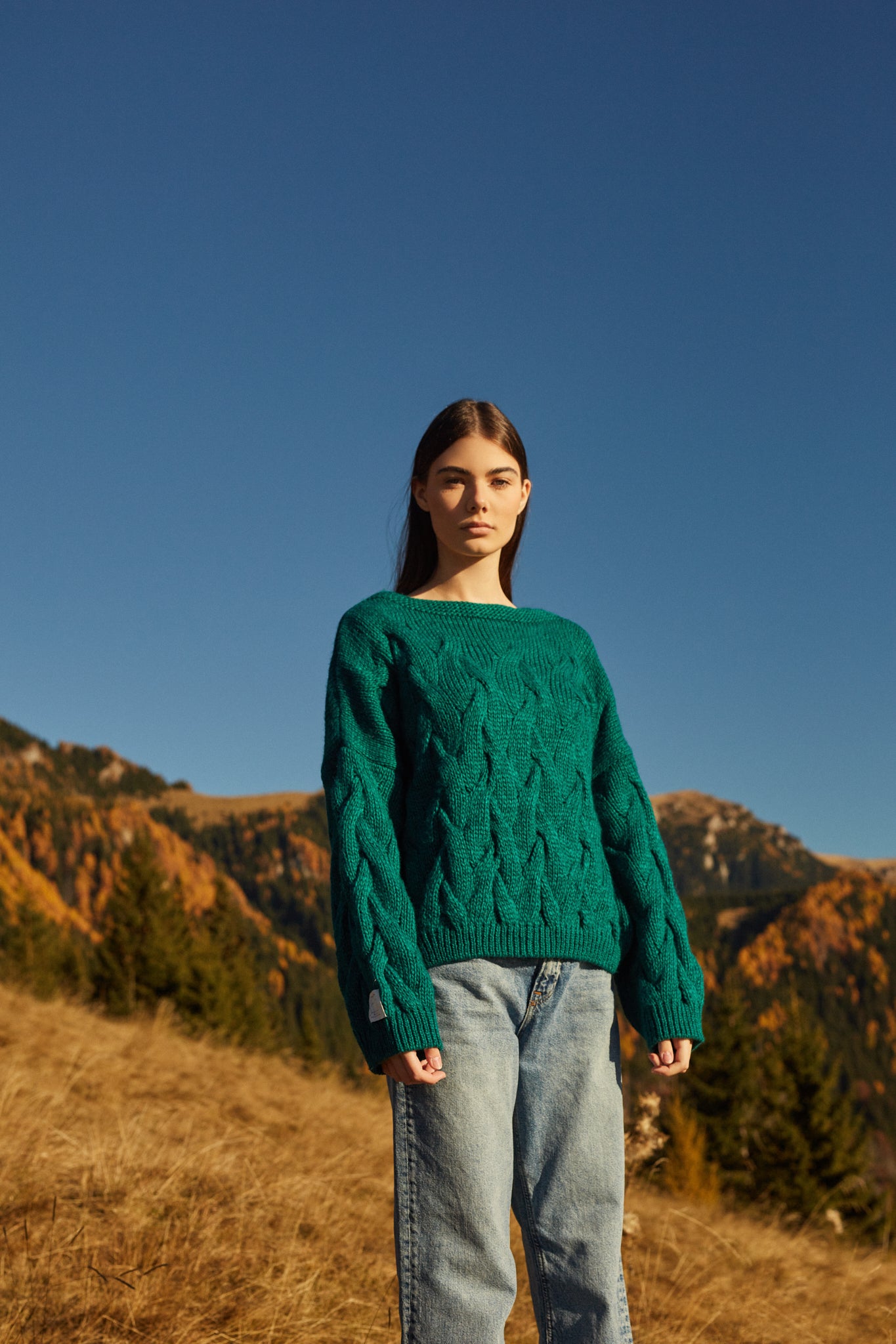 Pullover - Winter